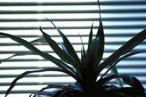 遮光カーテンの性能や利点について