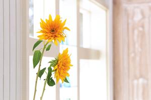 【名古屋駅前ショールーム】タカラスタンダードの最新キッチン・バス・洗面台を体験できる人気施設