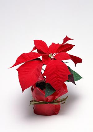 インプラスの価格と性能を徹底解説！快適な住環境を手に入れるための最適な選択肢