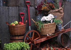 神戸HDCショールーム｜タカラスタンダードの最新設備と快適な空間体験