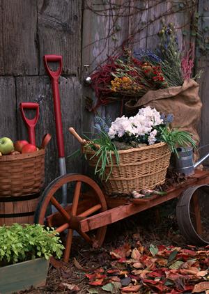 大阪で五月人形を買うならこちら