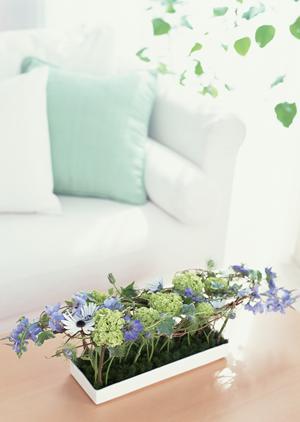 一枚板の通販サイトを運営する会社