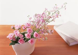 浜松のキッチンリフォームの導入