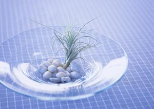 モダン家具の素敵な通販があるから