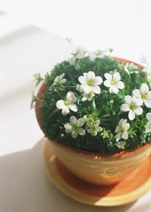 三重で安心して美術品鑑定をしませんか